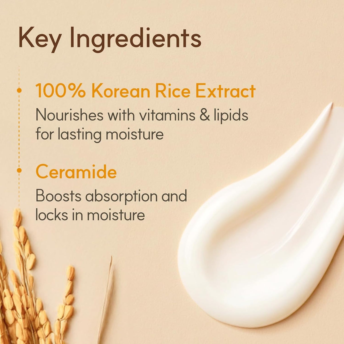 THE FACE SHOP RICE CERAMIDE MOIS CREAM 50ML